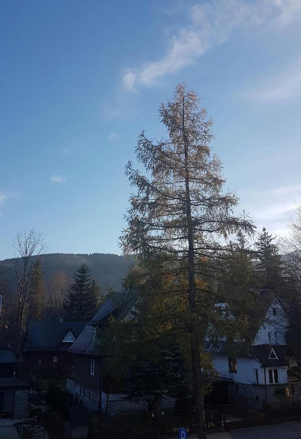 Pensjonat Arnika Zakopane Zewnętrze zdjęcie